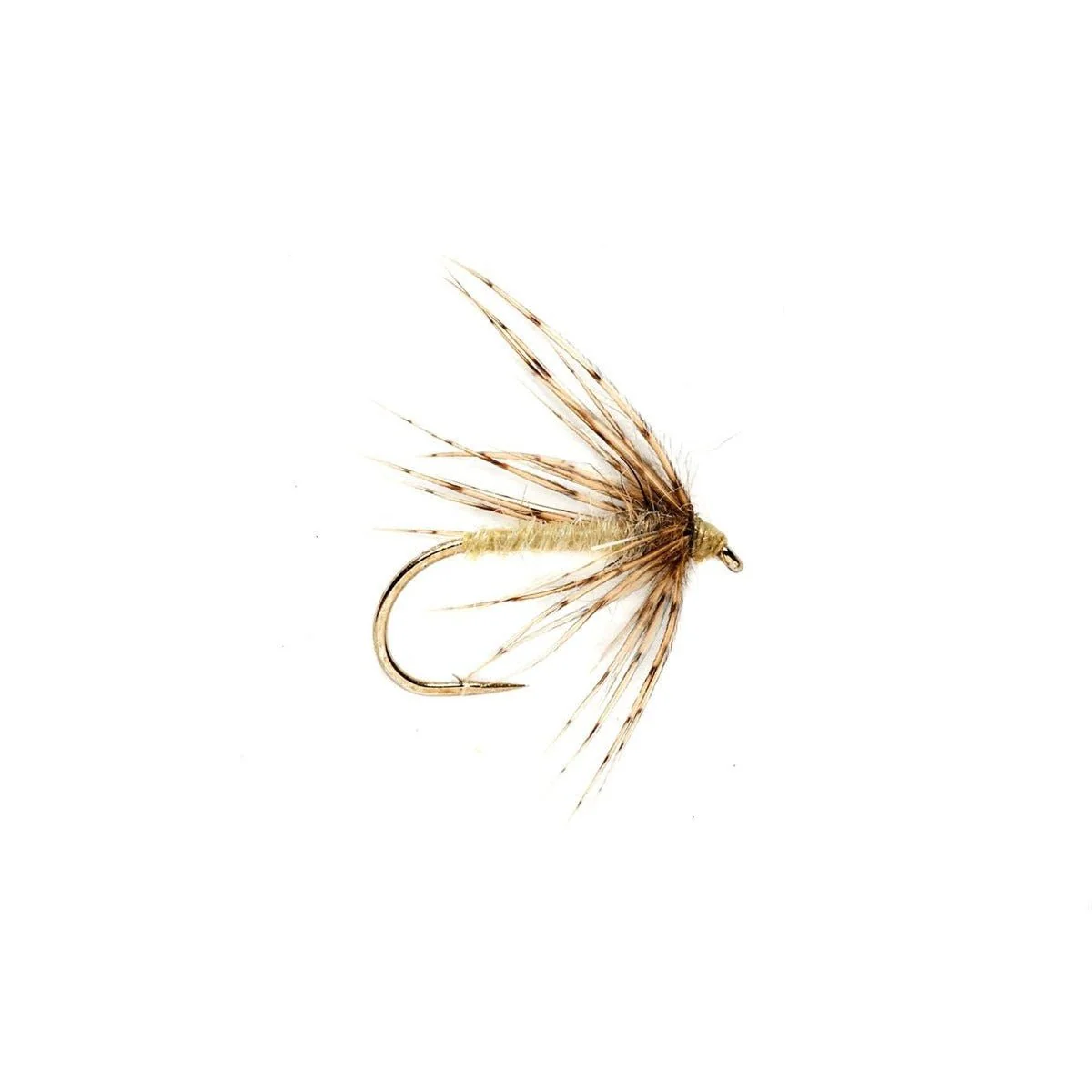 Spider Caddis Pale Yellow - Image 2