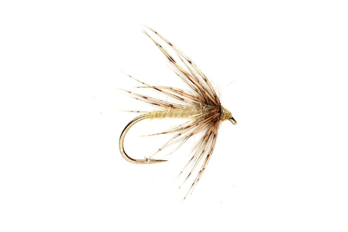 Spider Caddis Pale Yellow - Image 3