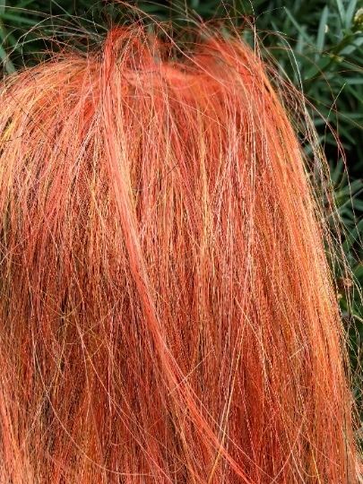 Squimpish Hair XL - Image 4