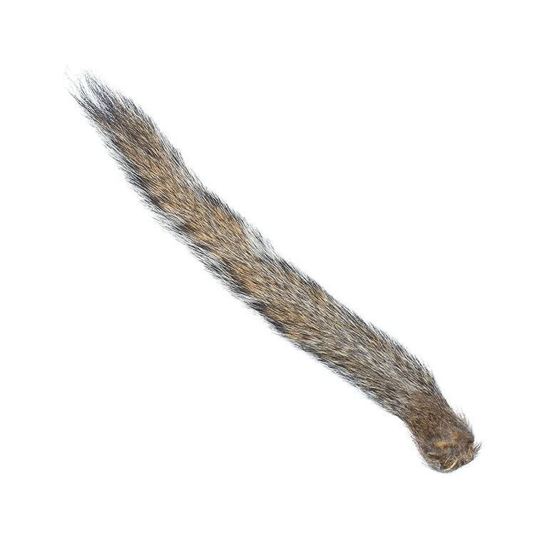 Squirrel Tail - Image 3