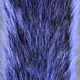 Squirrel Tails - Image 9