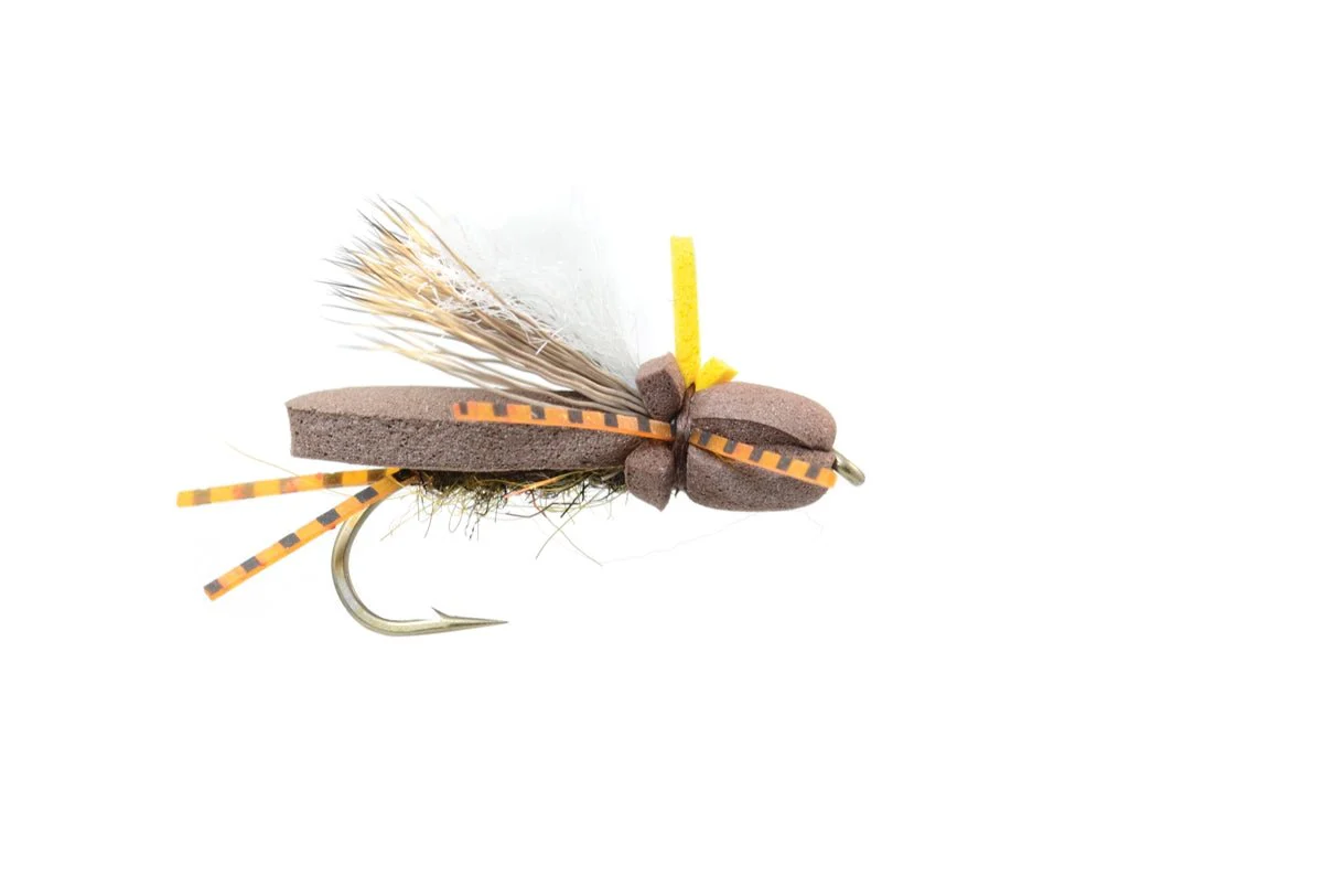 Stoneflopper Brown - Image 3