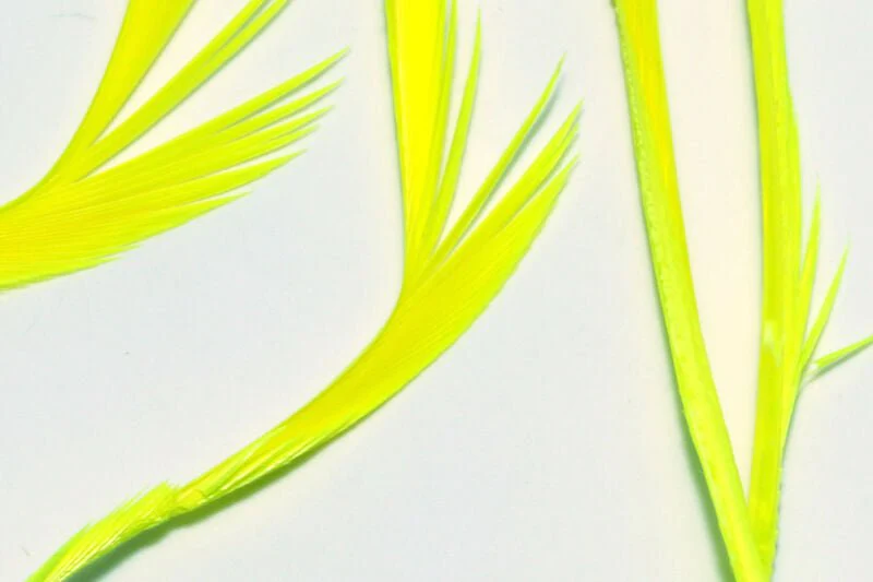 Stripped Goose Biots - Image 16
