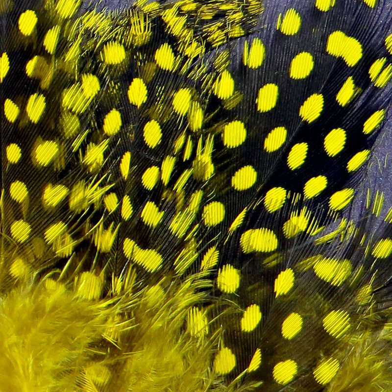 Strung Guinea Feathers - Image 19