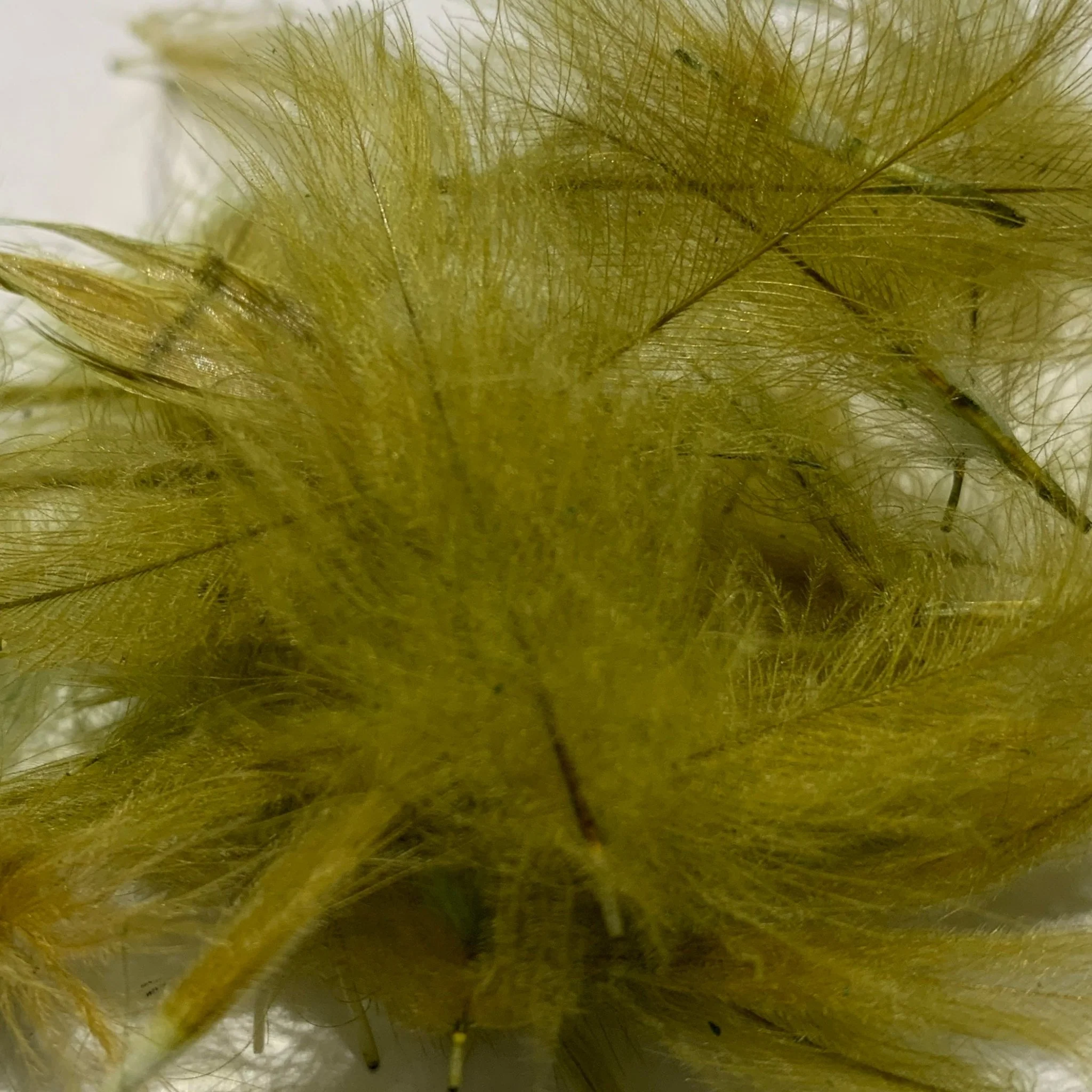 Swiss CDC Standard Grade - Image 17