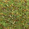 Textreme SBRIGGLE Small - Image 17
