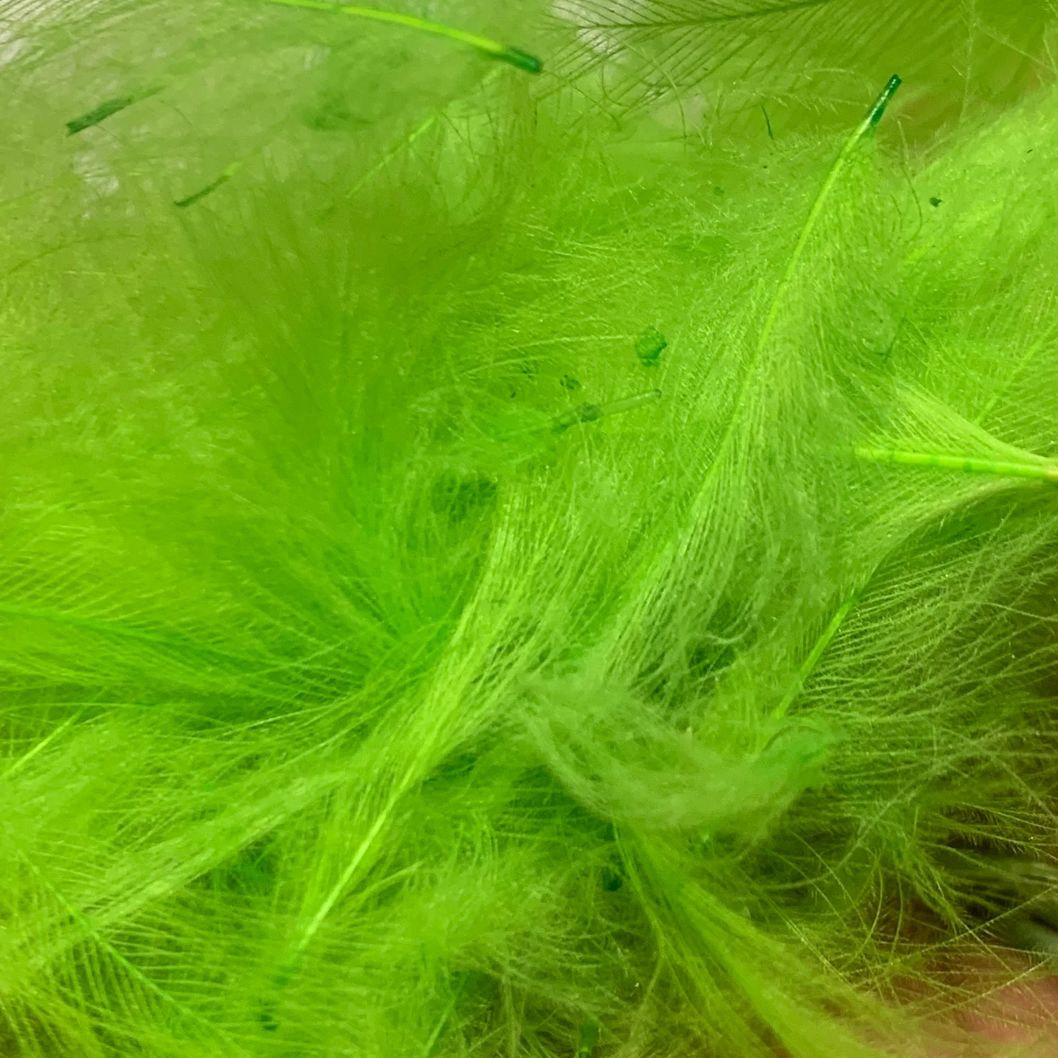TroutHunter Premium Bulk CDC - Image 26