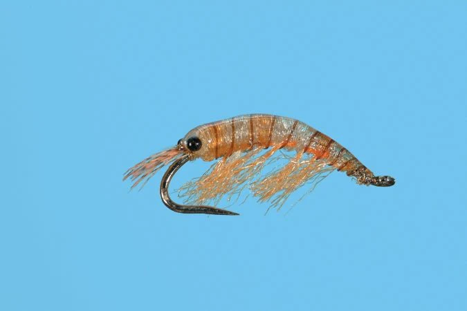 Ultra Scud - Orange - Image 3