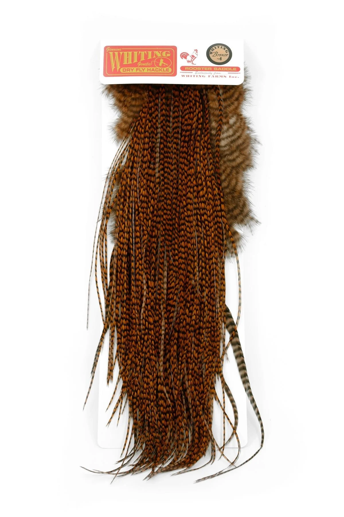 Whiting Bronze Saddle - Image 3
