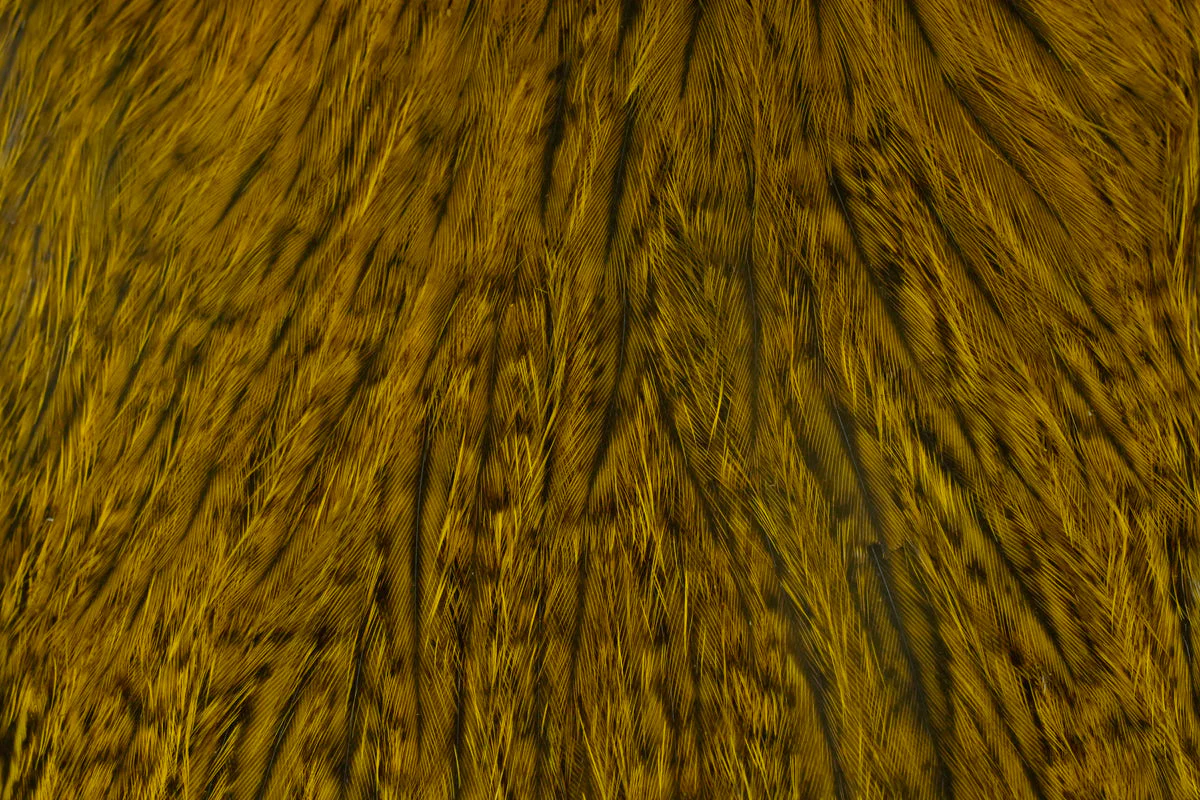 Coq de Leon Hen Cape - Image 7