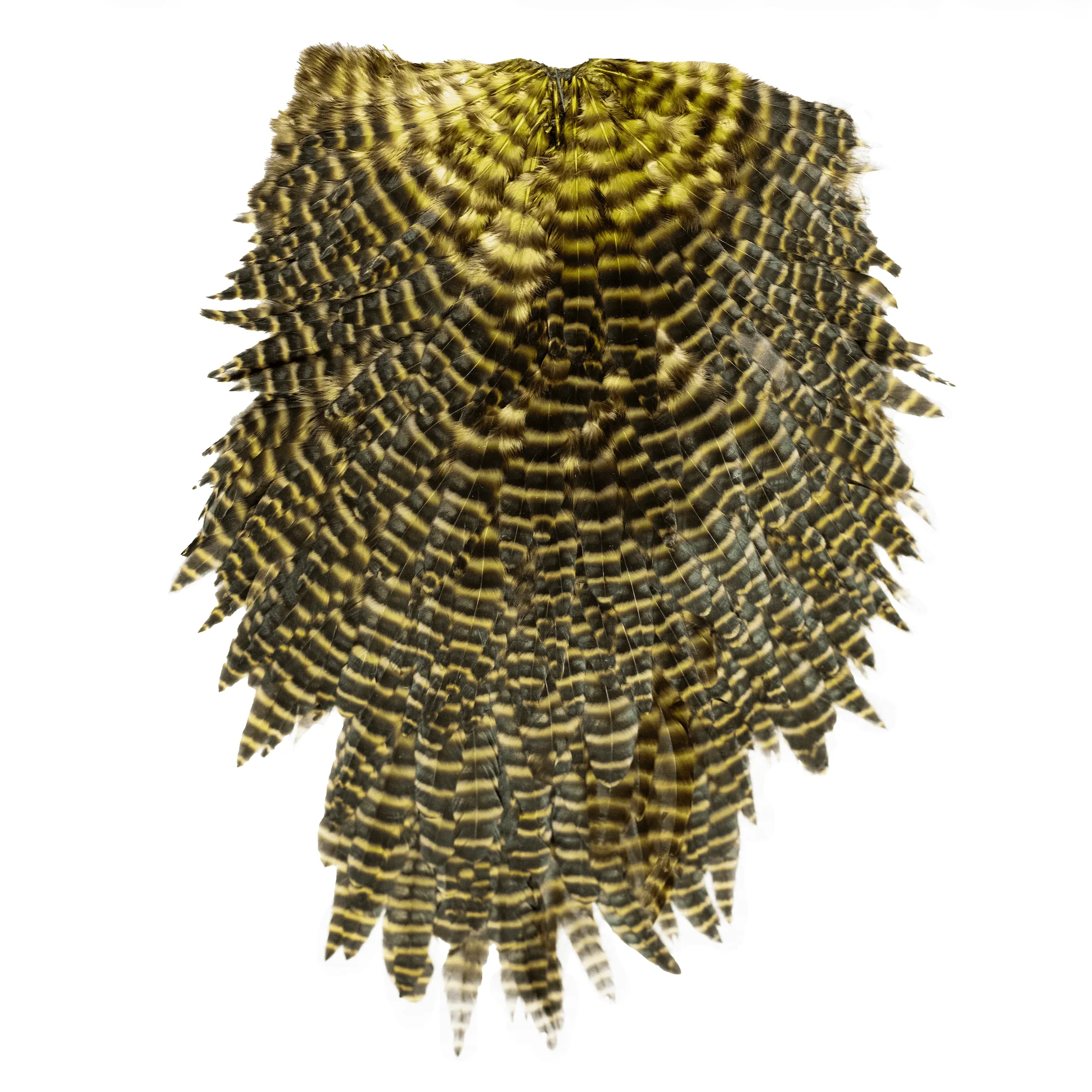 Whiting Specialty Bugger Saddle - Image 2