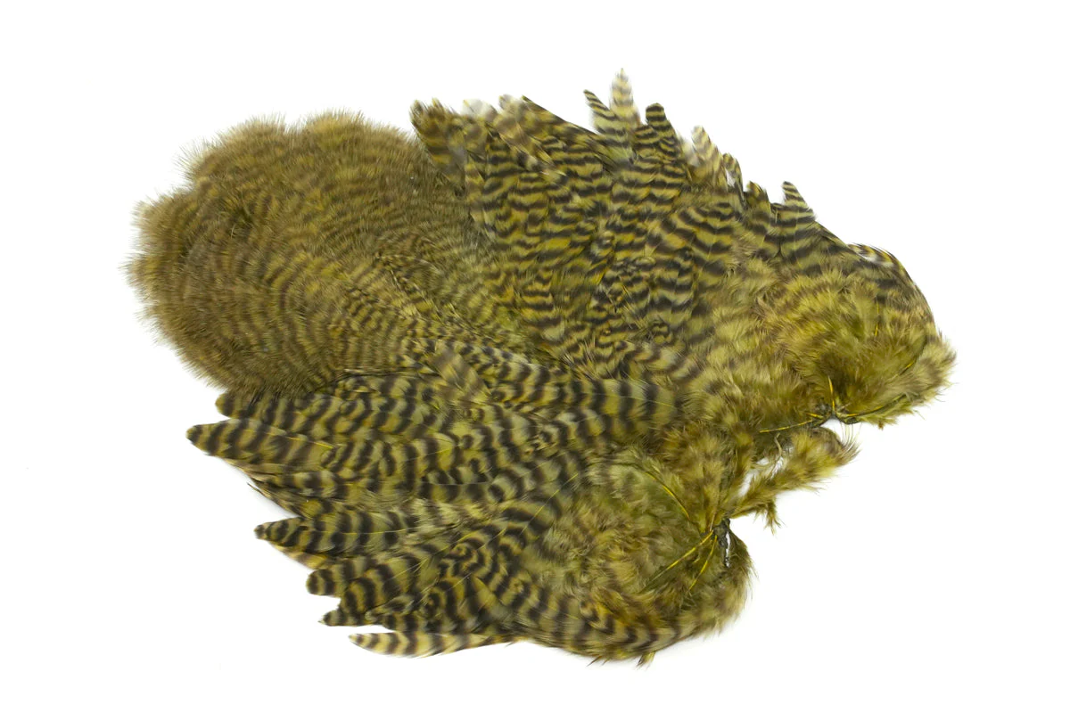 Whiting Rooster Soft Hackle with Chickabou - Image 5