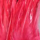 Woolly Bugger Saddle Hackle - Image 5
