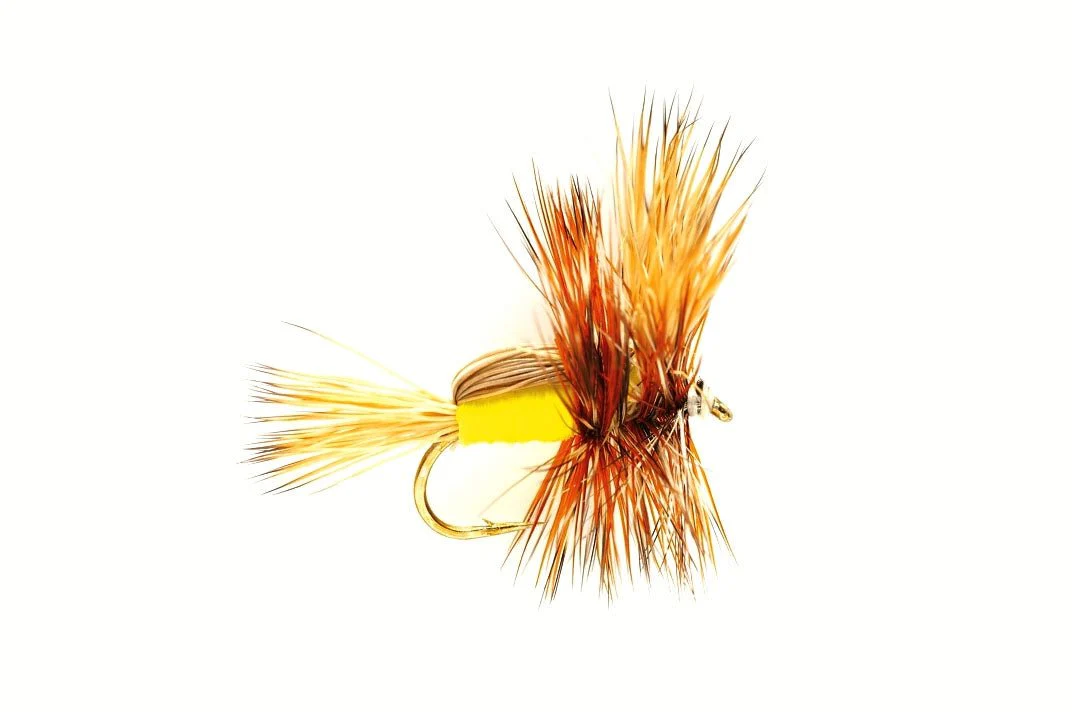 Yellow Humpy - Image 3